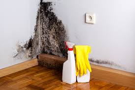 Best Mold Documentation for Insurance Claims  in Tower City, PA